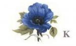 Blue Poppy　　小花　　5こ