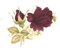 Burgundy Rose　　2コ