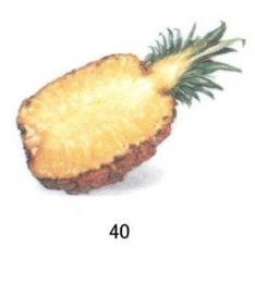 Pineapple