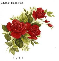 Red Rose　1/2/3/4  2.Stock Red Rose