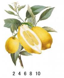 Lemon