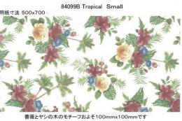 Tropical Small