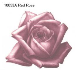 Red Rose  10053A