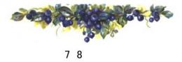 Blueberry  HB10472