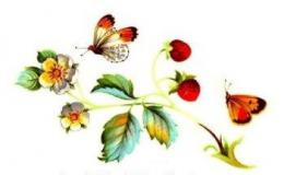 Strawberries　&　Butterflies A